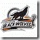 BlackWolves