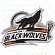 BlackWolves