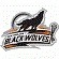 BlackWolves_thumb2