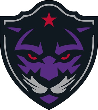 Panther City logo